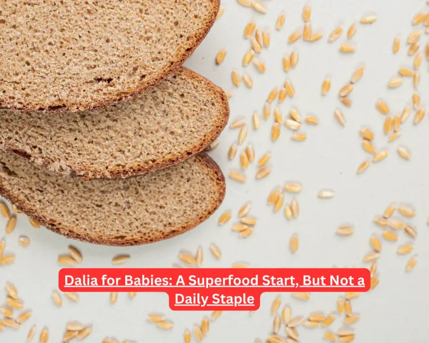 Dalia for Babies: A Superfood Start, But Not a Daily Staple