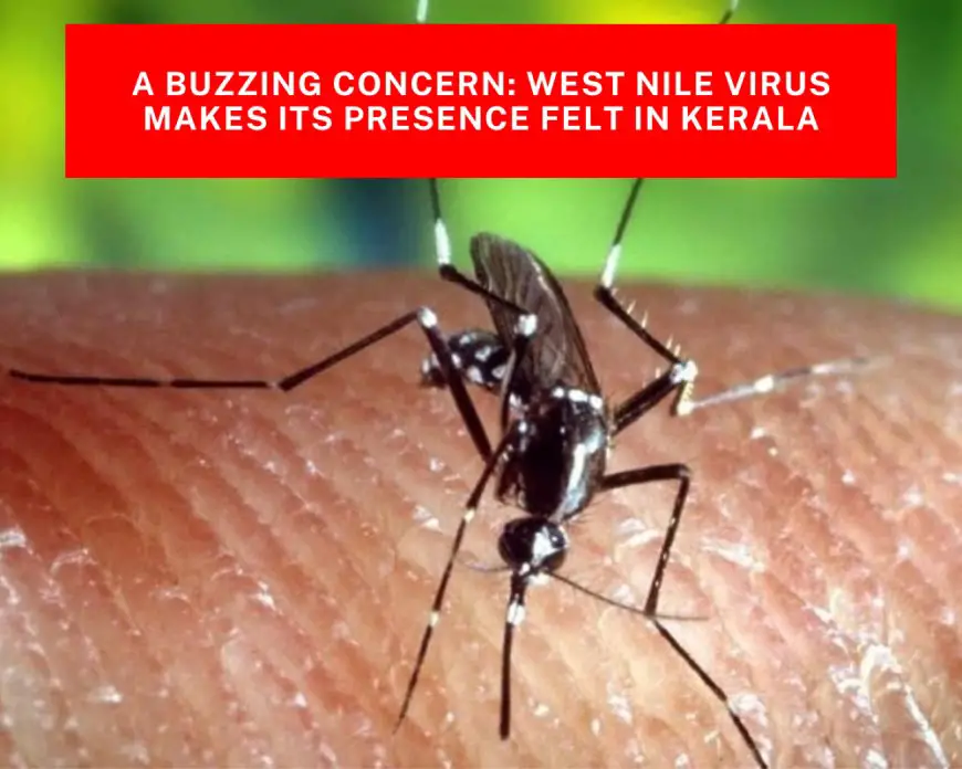 A Buzzing Concern: West Nile Virus Makes its Presence Felt in Kerala